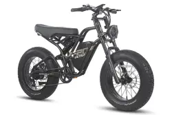 Fafrees F20 Ultra Bici Elettrica Fat Bike Pieghevole