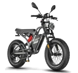 Fafrees F20 ULTRA Upgrade Fat Bike Elettrica