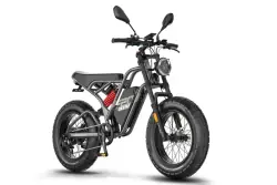 Fafrees F20 ULTRA Upgrade Fat Bike Elettrica