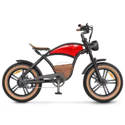 Hidoes B10 Fat Bike Elettrica