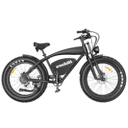 Hidoes B3 Fat Bike Elettrica