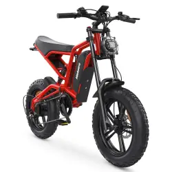 Hidoes B6 Fat Tire E-Bike
