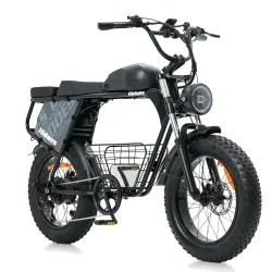 Hidoes B9 Fat Bike Elettrica a Doppia Batteria