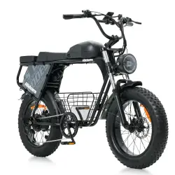 Hidoes B9 Fat Bike Elettrica a Doppia Batteria