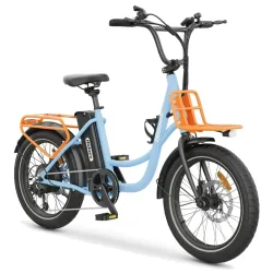 Hidoes C6 Bici Elettrica Mountain Bike