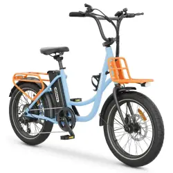 Hidoes C6 Bici Elettrica Mountain Bike