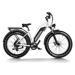 Himiway D3 Fat Bike Elettrica All Terrain