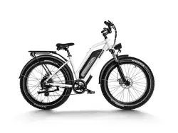Himiway D3 Fat Bike Elettrica All Terrain