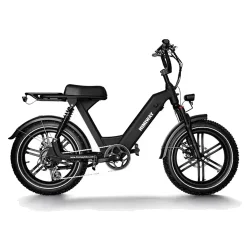 Himiway Escape Pro E-Bike Fat Bike