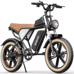 Ridstar Q20 Luxe Bici Elettrica Fat Bike Retro