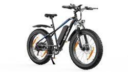 Varun M26-2 PRO Bici Elettrica Fat Bike a Doppio Motore